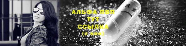 прущие грибы Протвино