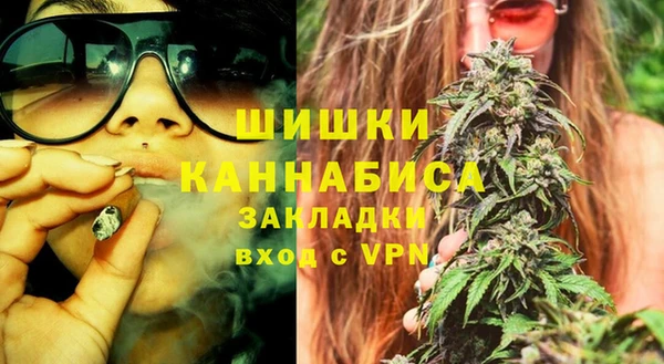 прущие грибы Протвино