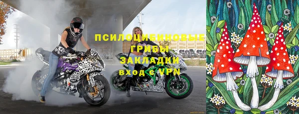 прущие грибы Протвино