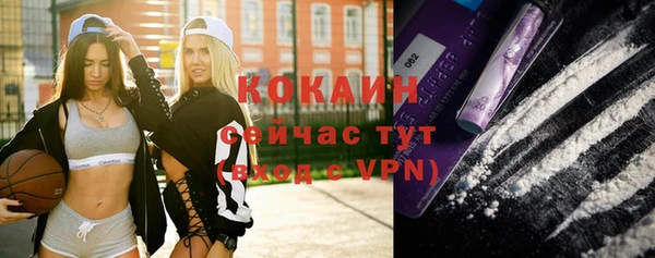 прущие грибы Протвино