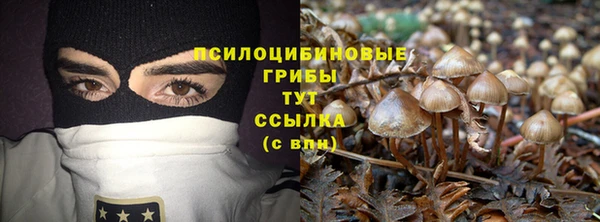 скорость Приозерск