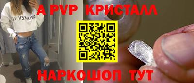 гидра Будённовск