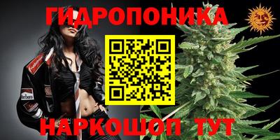 гидра Будённовск