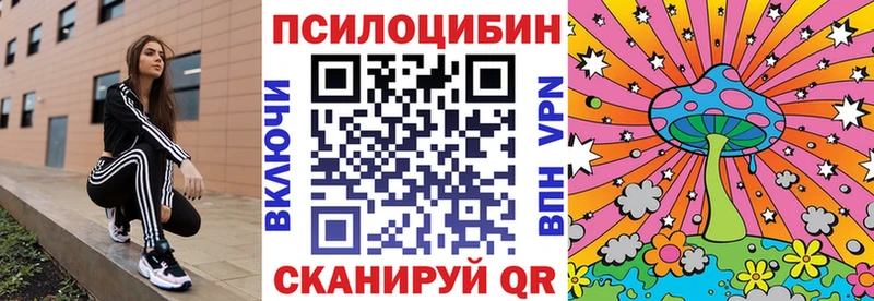 закладка  Димитровград  МЕГА   Галлюциногенные грибы прущие грибы 