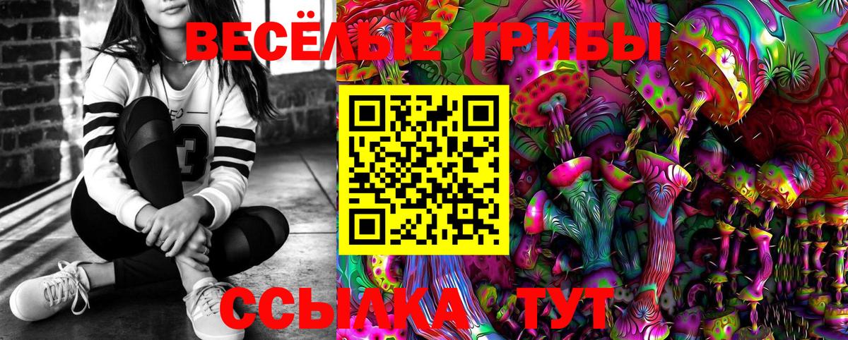 Галлюциногенные грибы Magic Shrooms Димитровград