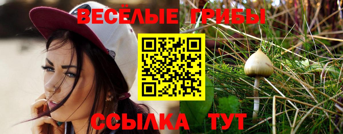 Псилоцибиновые грибы Psilocybine cubensis  Вход с VPN  Димитровград 