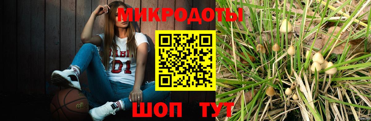 Галлюциногенные грибы MAGIC MUSHROOMS  Димитровград  Галлюциногенные грибы Psilocybine cubensis 